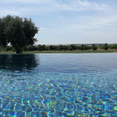 Terras - Agroturismo & Vinhos Beja Eksteriør billede