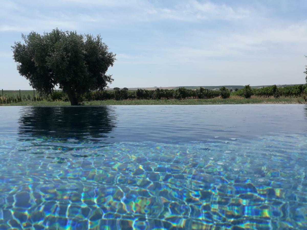 Terras - Agroturismo & Vinhos Beja Eksteriør billede