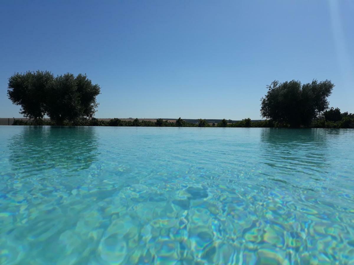 Terras - Agroturismo & Vinhos Beja Eksteriør billede
