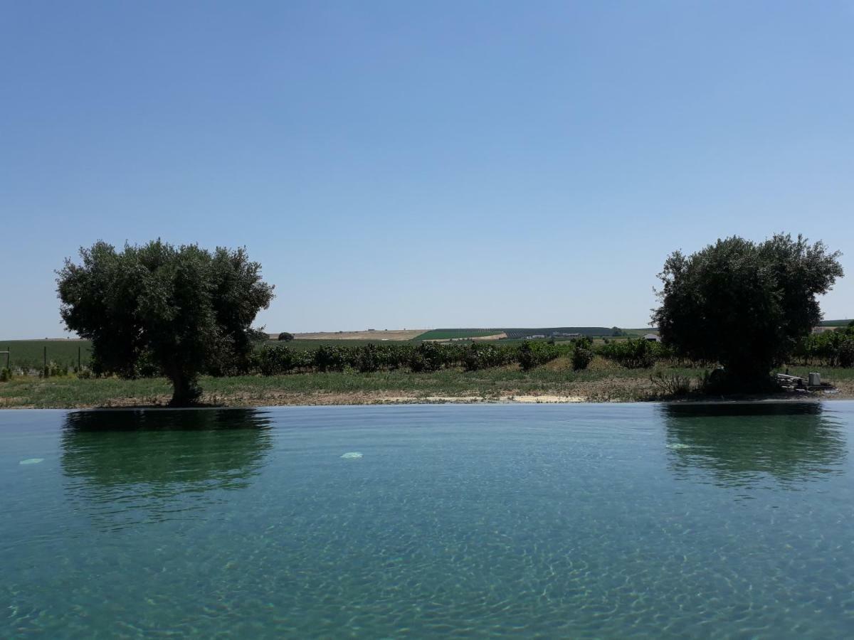 Terras - Agroturismo & Vinhos Beja Eksteriør billede
